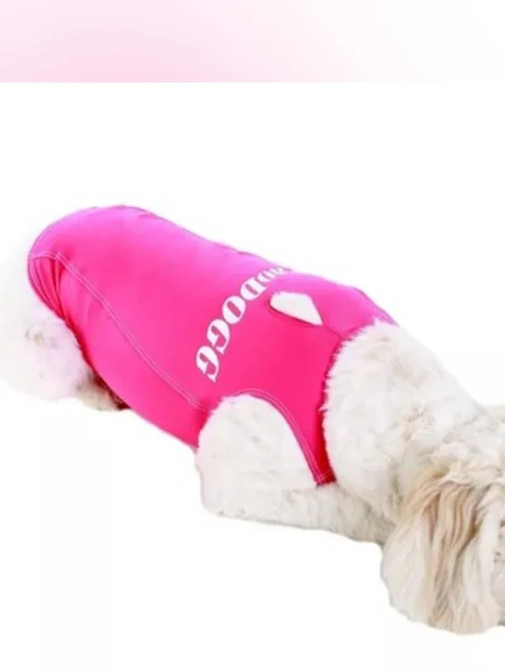 Pro Dogg Anxiety Compression Shirt Sz XL